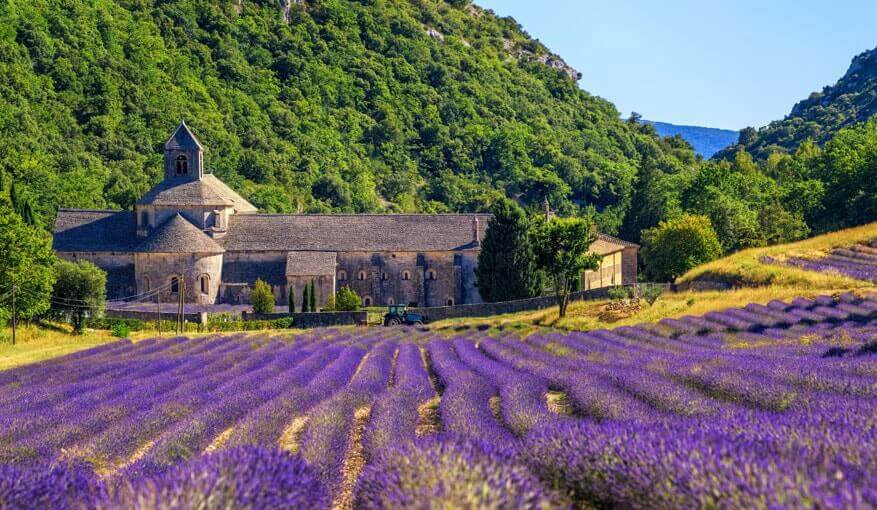 Abbaye de Sénanque Gordes Vaucluse Provence
