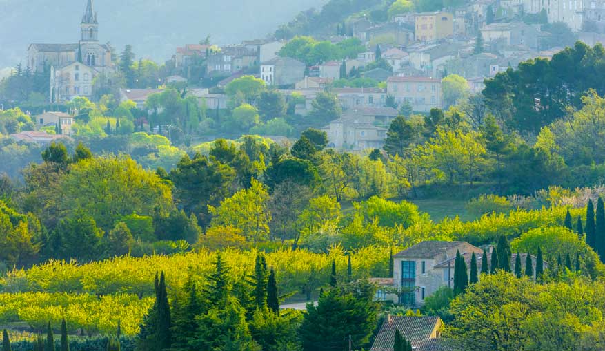 Half Day Trip Gordes Luberon
